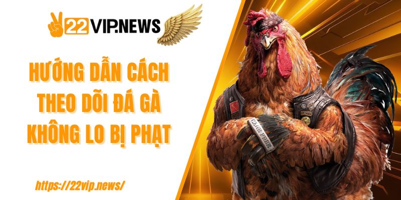 Hướng dẫn cách theo dõi đá gà không lo bị phạt 
